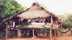 Typical Kuna House